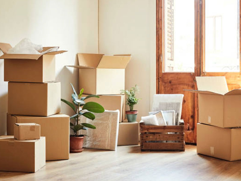 Domestic Relocation