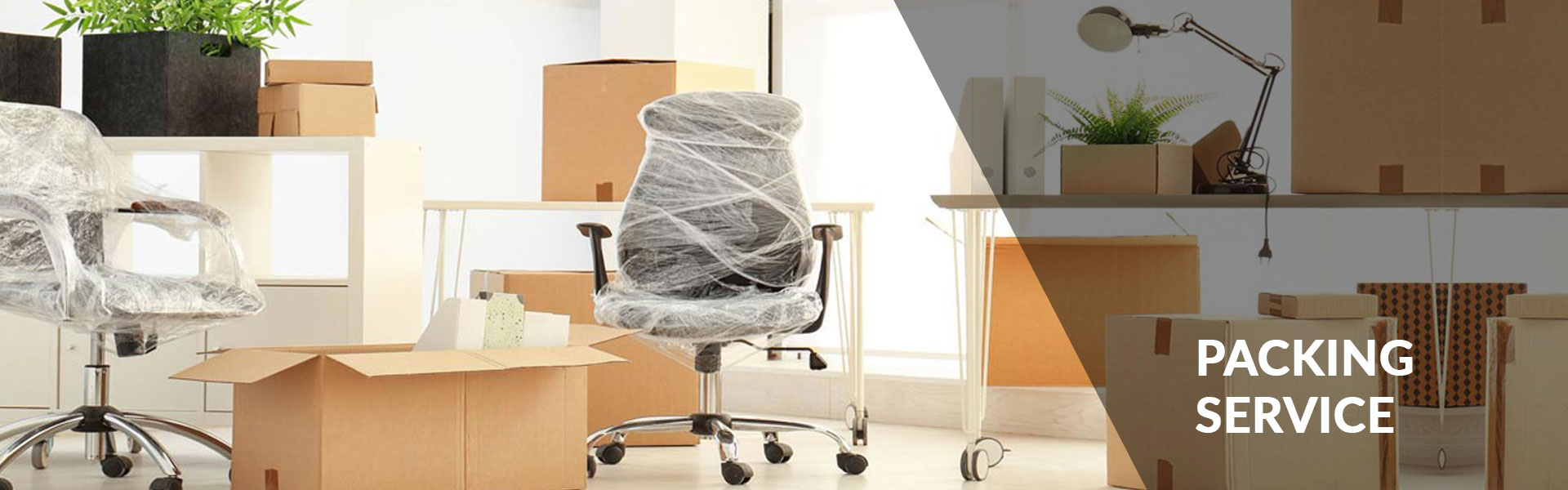 Packing Service